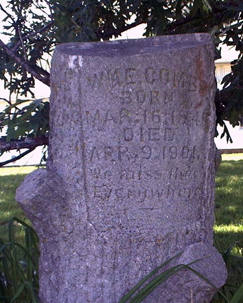 William E. Combs William E. Combs