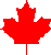 maple leaf