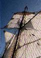 sail